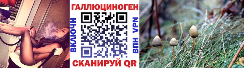 Псилоцибиновые грибы Cubensis  Гуково 