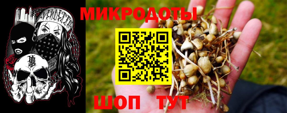 Галлюциногенные грибы MAGIC MUSHROOMS  Галлюциногенные грибы Psilocybe  Гуково 
